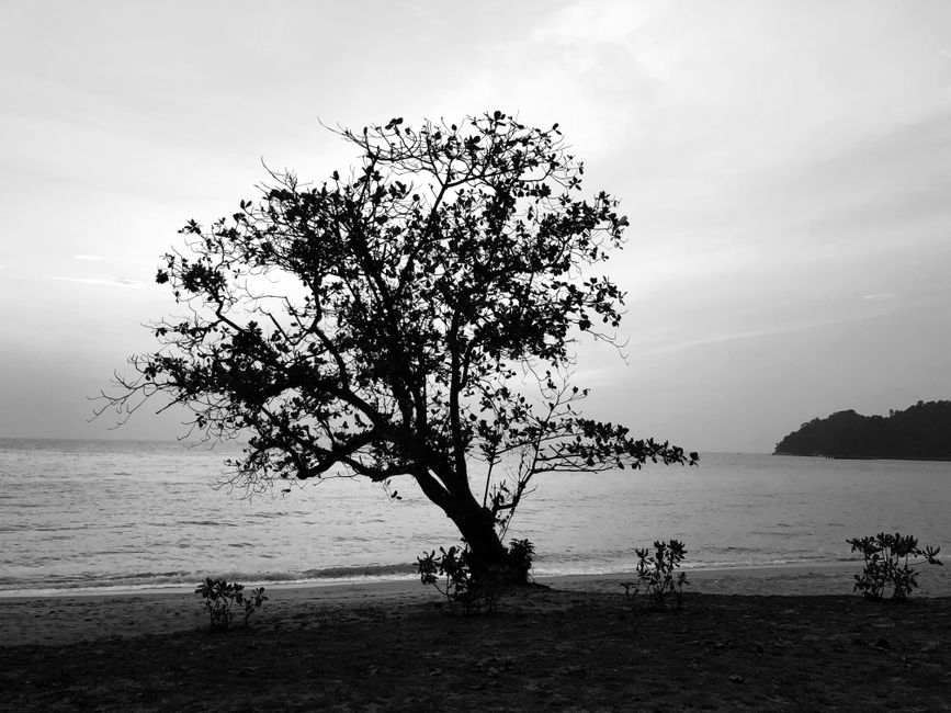 Kenapa Pulau Pangkor? Lebih dari Sekadar Pantai Biasa! Kenapa Pulau Pangkor? Lebih dari Sekadar Pantai Biasa!