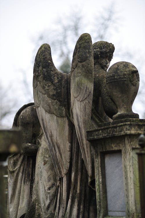 Foto d'estoc gratuïta de àngel ales, esculpint en pedra, escultura