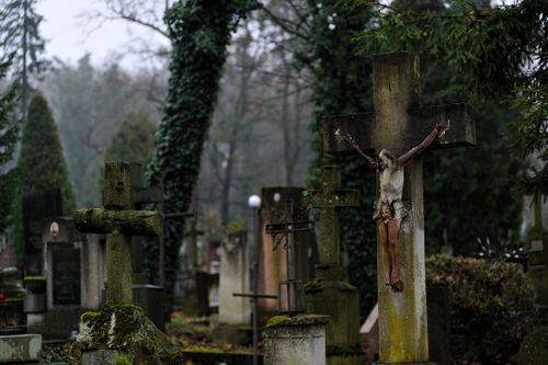 Free A moody scene in Lviv's historic cemetery featuring mossy gravestones and a weathered crucifix. Stock Photo