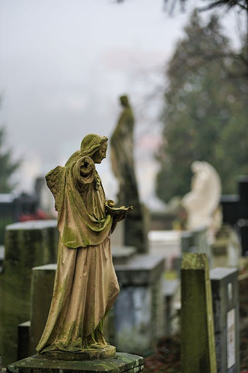 Foto d'estoc gratuïta de blur de fons, esculpint en pedra, escultura