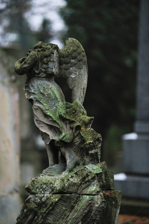 Foto d'estoc gratuïta de àngel ales, blur de fons, esculpint en pedra