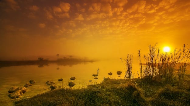 A breathtaking sunrise over a calm lake with golden hues and misty ambiance.