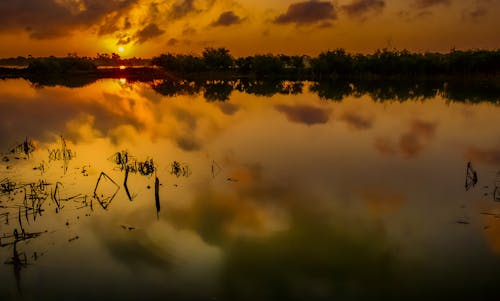 Безкоштовне стокове фото на тему «Захід сонця, золота година, навколишнє середовище»