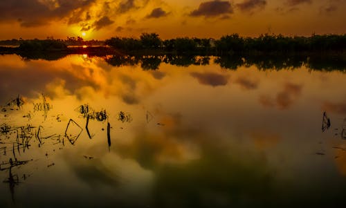 
A Lake during the Golden Hour