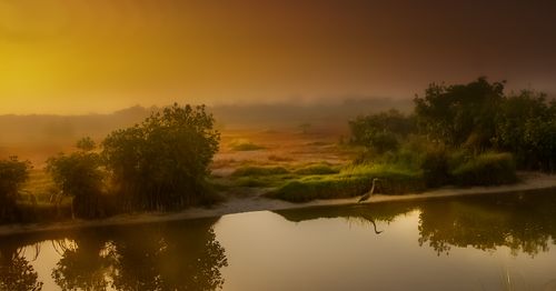 Free Scenic sunset view over a calm river with a heron and lush trees. Stock Photo