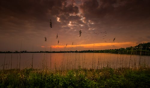 
A Lake under a Cloudy Sky