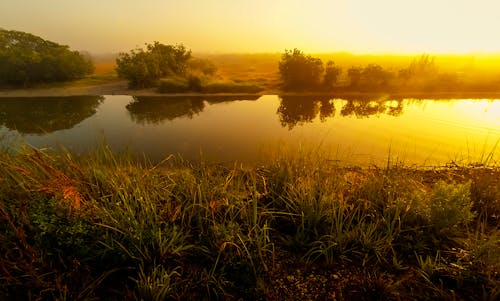 Základová fotografie zdarma na téma břehy řeky, odraz vody, řeka