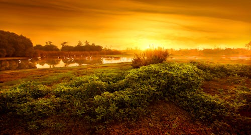 Základová fotografie zdarma na téma břeh řeky, krajina, oranžová obloha