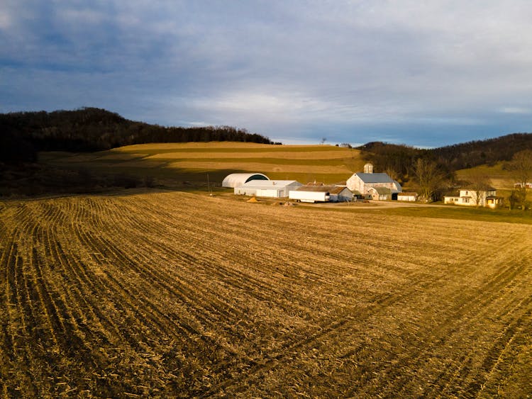 Wheat Fields In Countryside