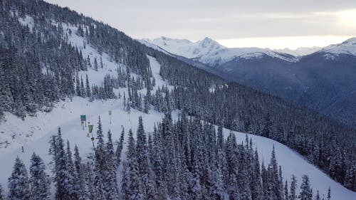 免费 丘陵, 冬季, 天性 的 免费素材图片 素材图片