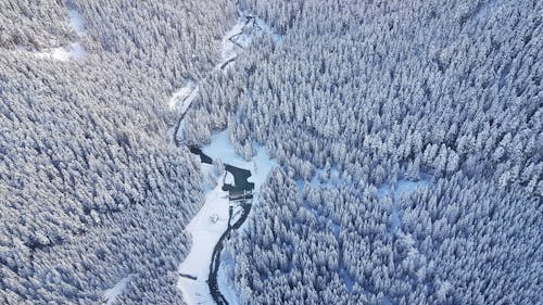 Photos gratuites de bois, espace extérieur, fleuve