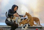Free stock photo of adult, animal, bait