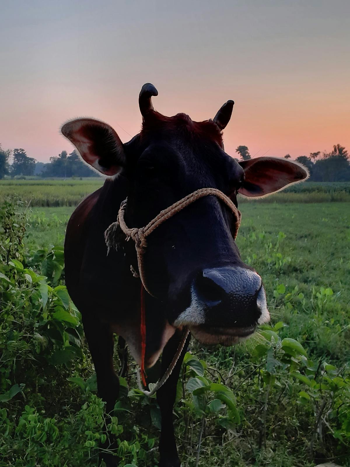 Professionelles Reinigungsteam bei der Arbeit