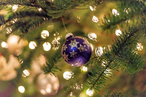 Close-Up Shot of a Blue Christmas Ball on a Christmas Tree