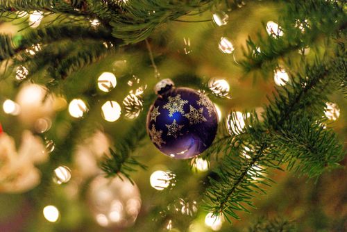 Free Close-up of a purple bauble on a Christmas tree with lights. Festive holiday decor captured with shallow focus. Stock Photo