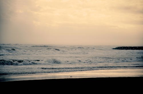 Foto d'estoc gratuïta de estavellant, onades, platja