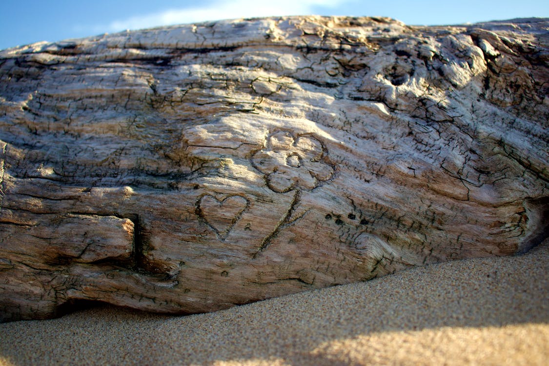 Heart and Flower Carved in Driftwood on Beach