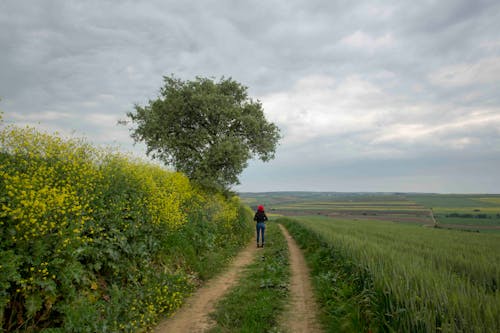 Back View of a Woman Standing on Unpaved Road in a Farm