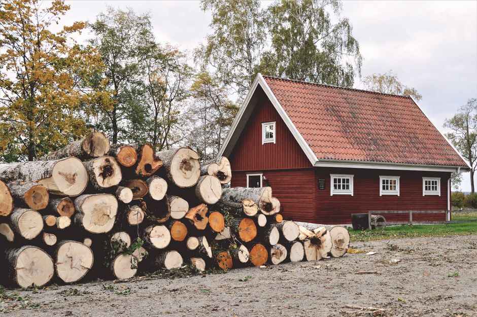 Photo by Jonathan Petersson on Pexels A rustic red cottage surrounded by trees and logs in a serene countryside environment.