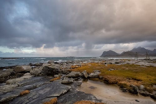 Fotobanka s bezplatnými fotkami na tému krajina pri mori, kývať, lofotské ostrovy
