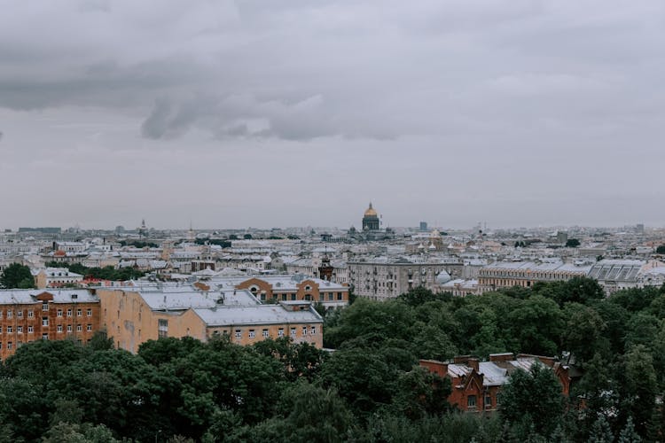 City Buildings Behind Trees