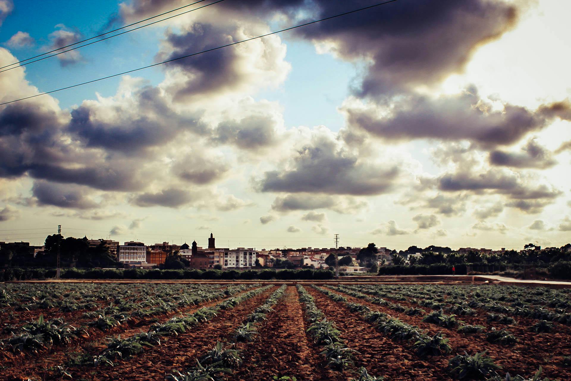 宁静的村庄和农田上空，日落明亮，云层飘浮