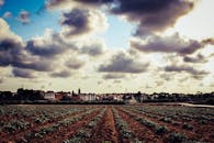 宁静的村庄和农田上空，日落明亮，云层飘浮