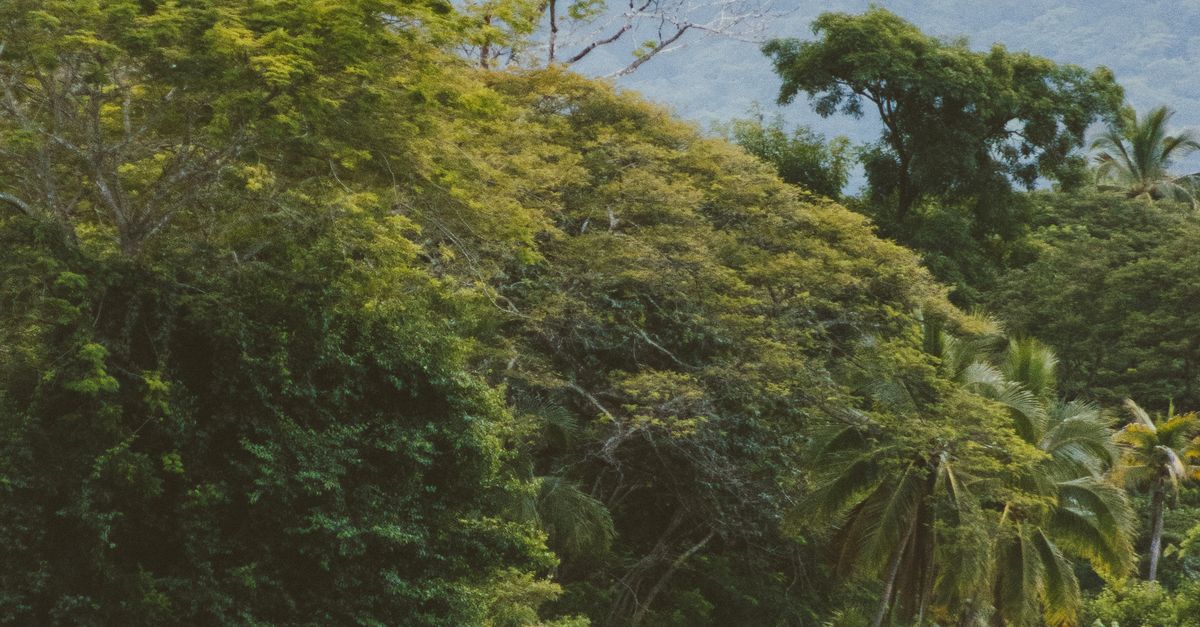 Cómo la estabilidad política en Costa Rica favorece la atracción de inversión tecnológica