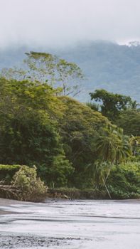 Serene forest landscape with lush greenery and misty mountains in Guanacaste, Costa Rica.