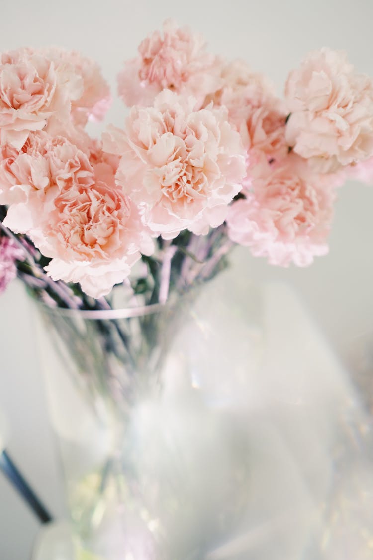 Pink Roses In A Vase