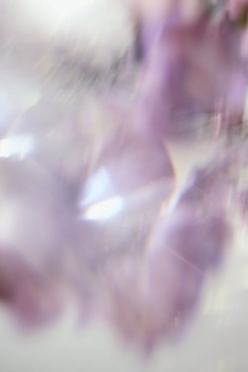 Bezpłatne Darmowe zdjęcie z galerii z abstrakcyjny, fioletowy, kopiowanie Zdjęcie z galerii
