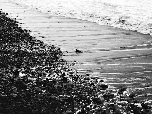 Foto profissional grátis de à beira-mar, beira-mar, escala de cinza