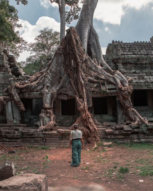 Free A lone tourist explores ancient temple ruins in Cambodia with massive tree roots overtaking the structure. Stock Photo