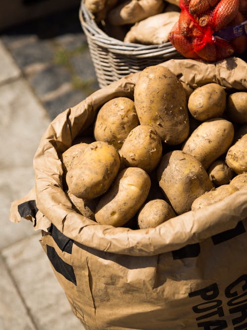 Free stock photo of food, greengrocer, potatoes