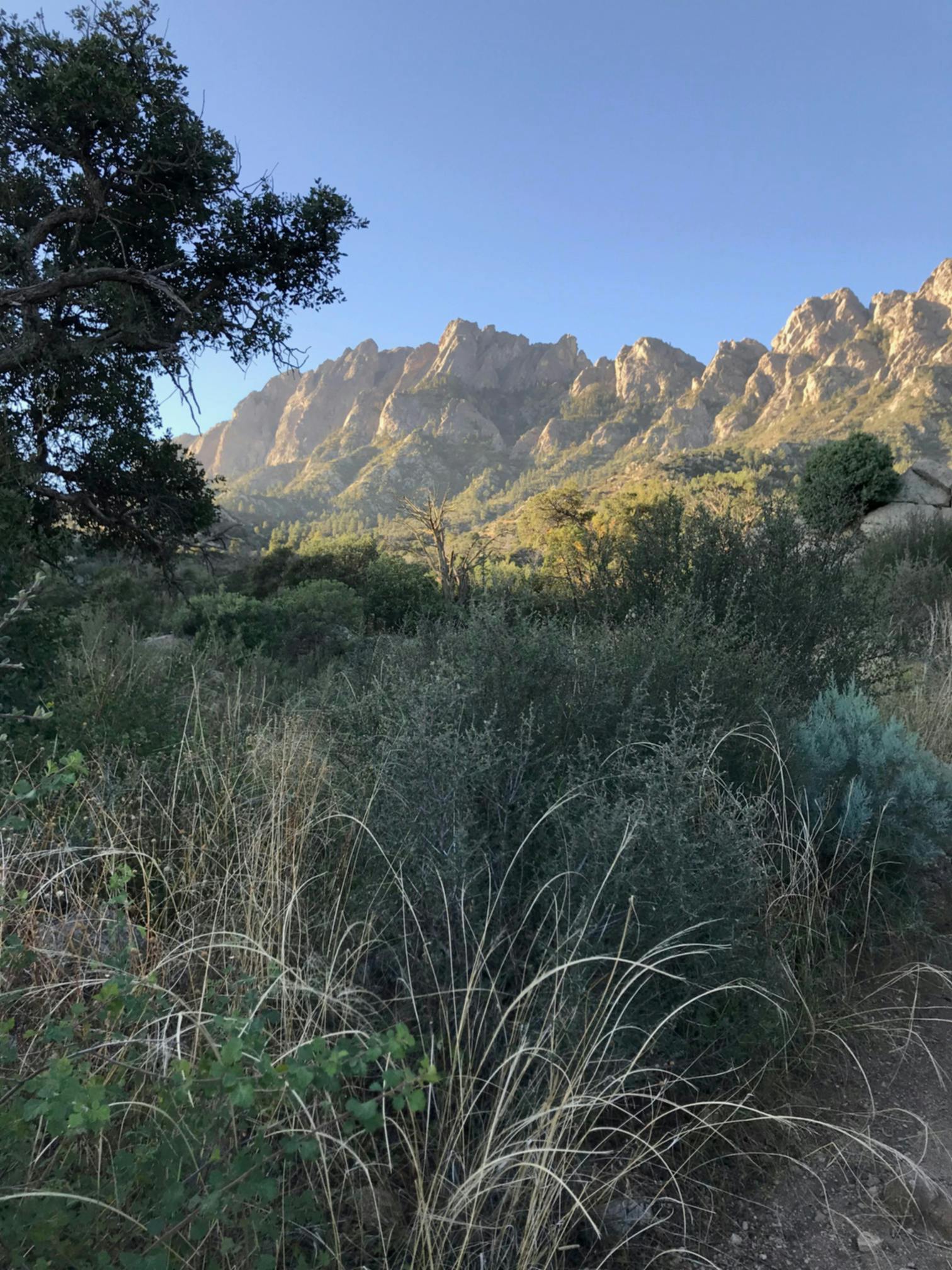 Free stock photo of hiking trail, mountains, New Mexico