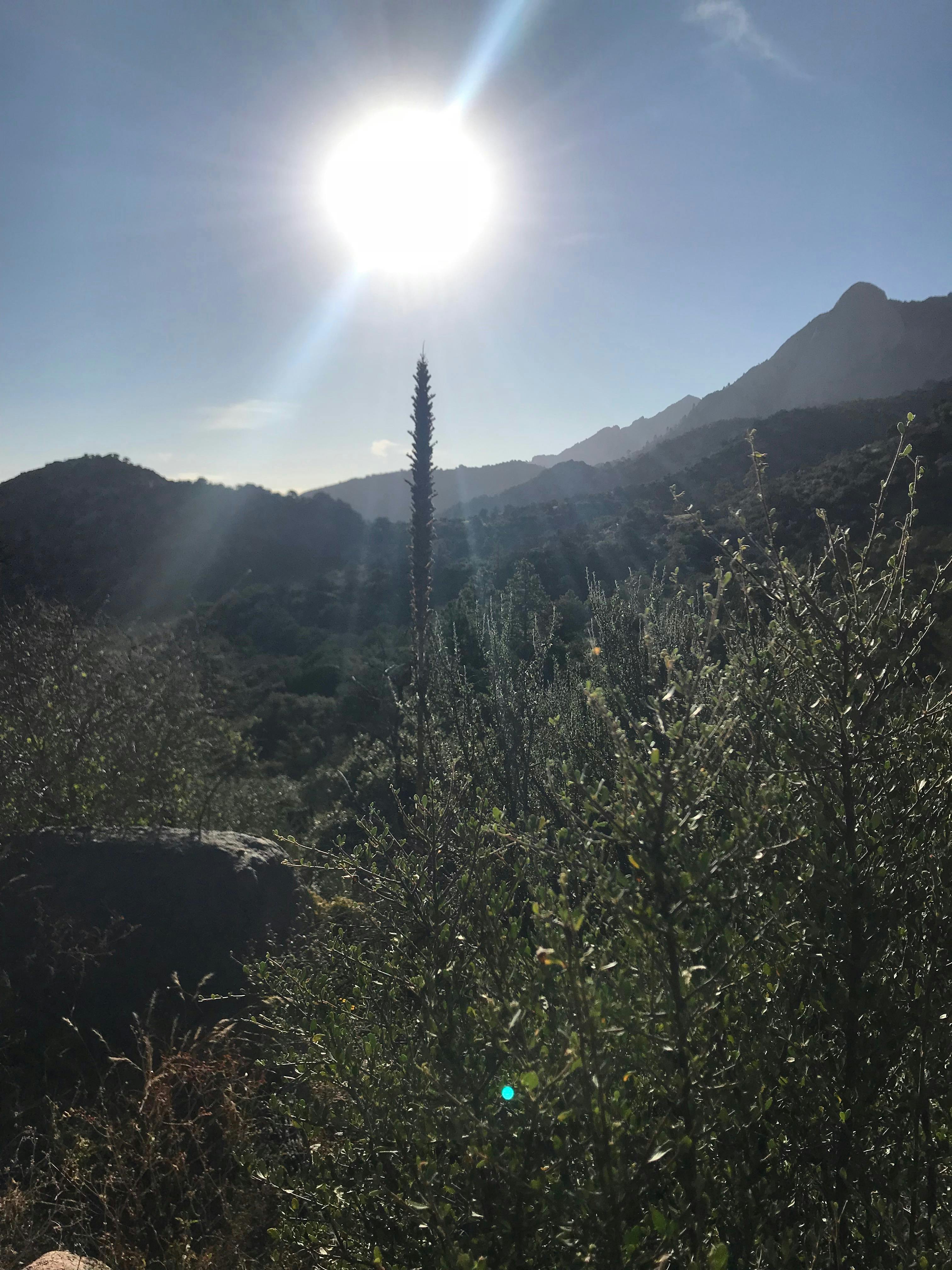 Free stock photo of hiking trail, mountains, New Mexico