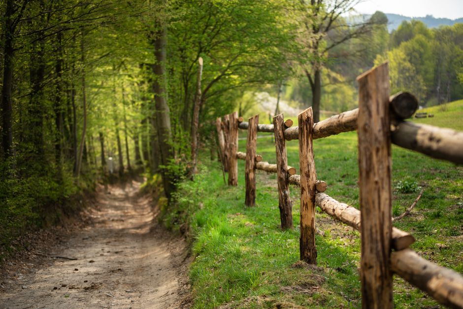 Best Fence Builders in Melissa, TX (2026)