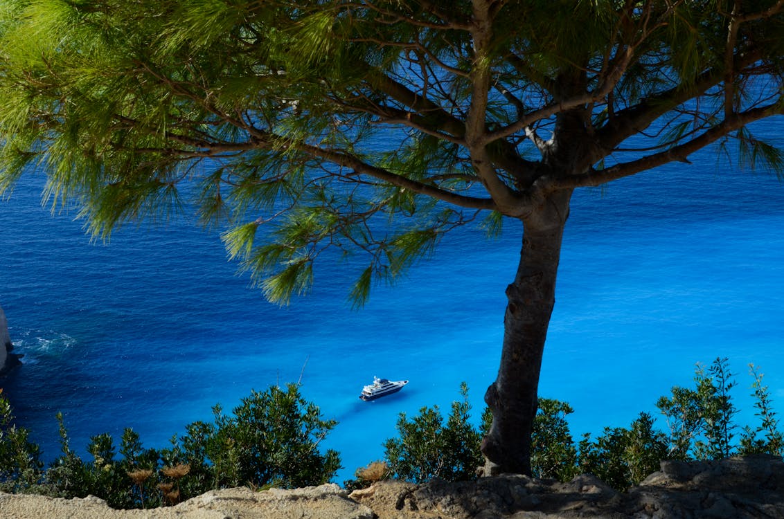 Kostenloses Stock Foto zu baum, blau, boot