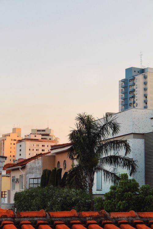 Free Discover a captivating urban skyline featuring palm trees and residential buildings at sunset. Stock Photo