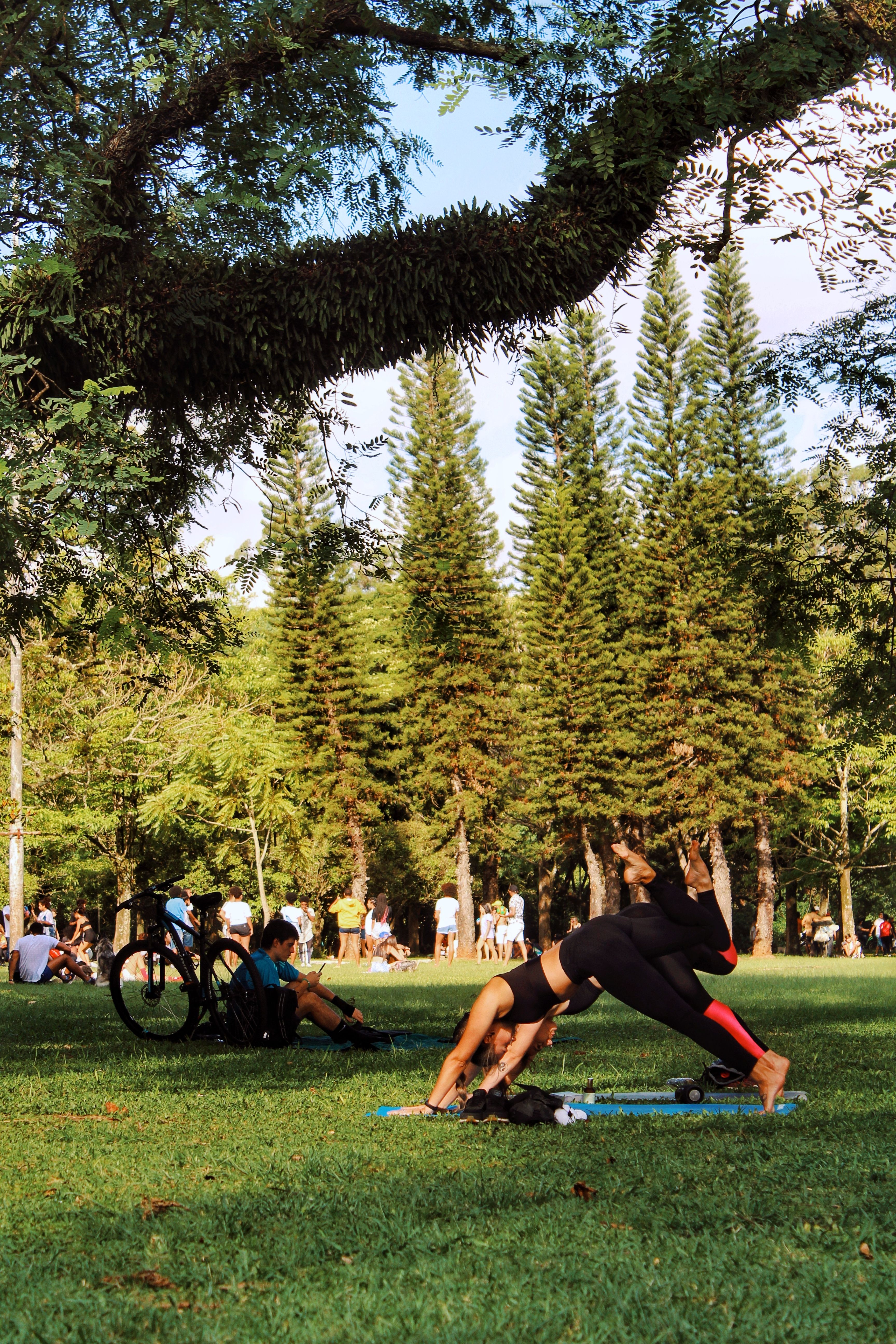 Budget-friendly approaches to mindful serving