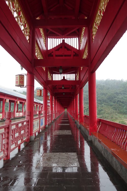 Foto profissional grátis de ancião, arquitetura, baihualin