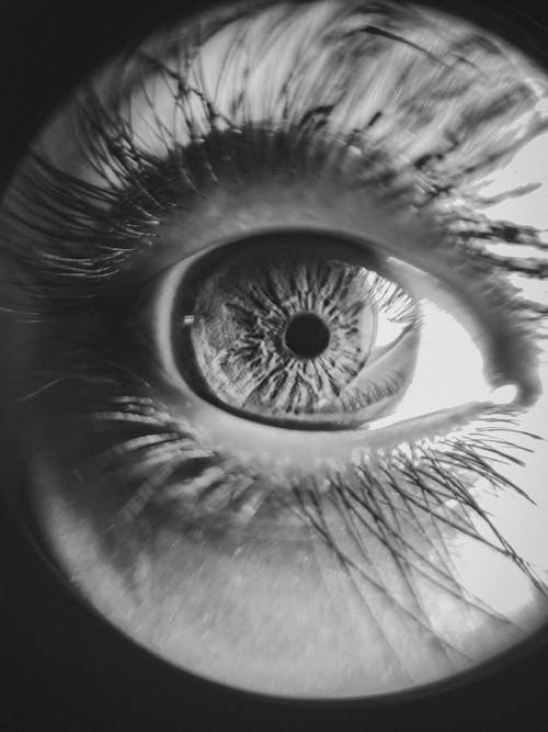 Darmowe zdjęcie z galerii z czarno-biały, gałka oczna, monochromatyczny