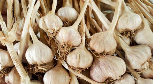 Kostenloses Stock Foto zu ernährung, essen, gesund