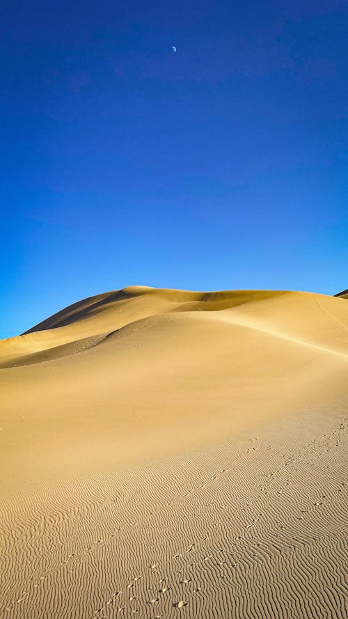 Immagine gratuita di ambiente, arido, deserto