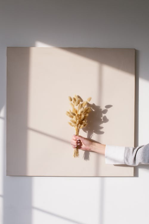 Person Holding Dried Flower Bouquet