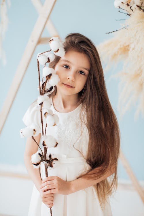 Foto d'estoc gratuïta de bufó, flors blanques, foto vertical