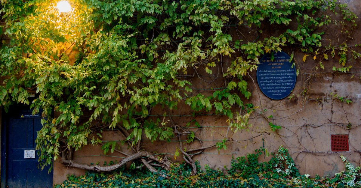 Lush vines climb a stone wall under a warm light, featuring a memorial plaque and a dark door.