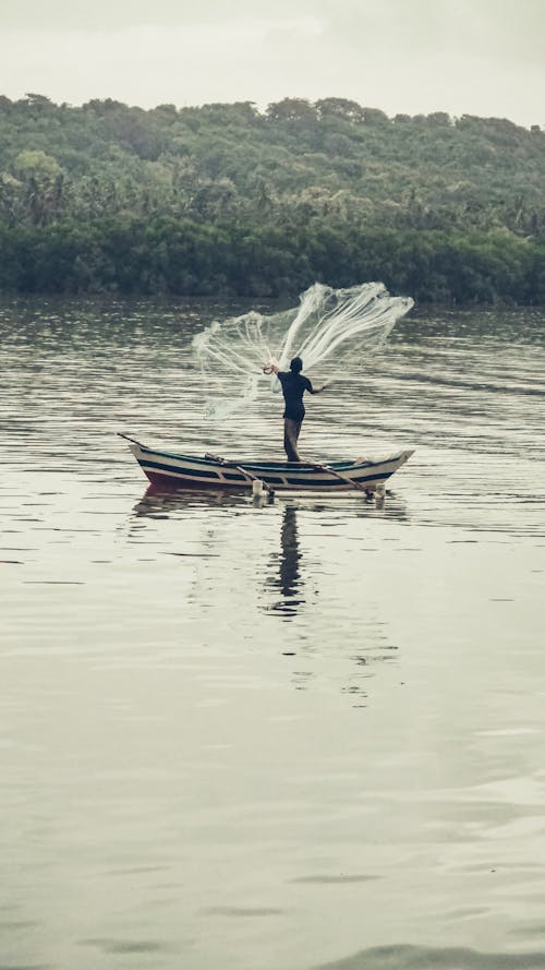 Free stock photo of fisher, fisherman, fishing