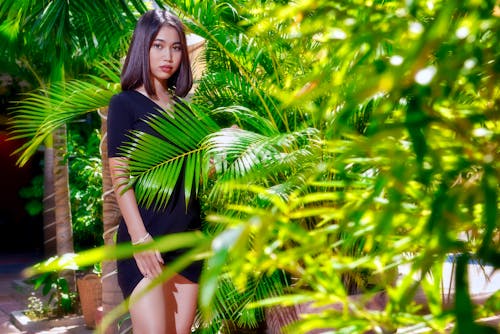 areca palmiyesi, Asyalı kadın, ayakta içeren Ücretsiz stok fotoğraf