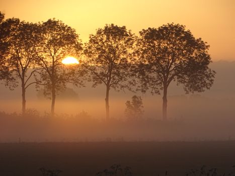 Peaceful sunrise scene with trees silhouetted against a misty landscape and warm, orange sky.